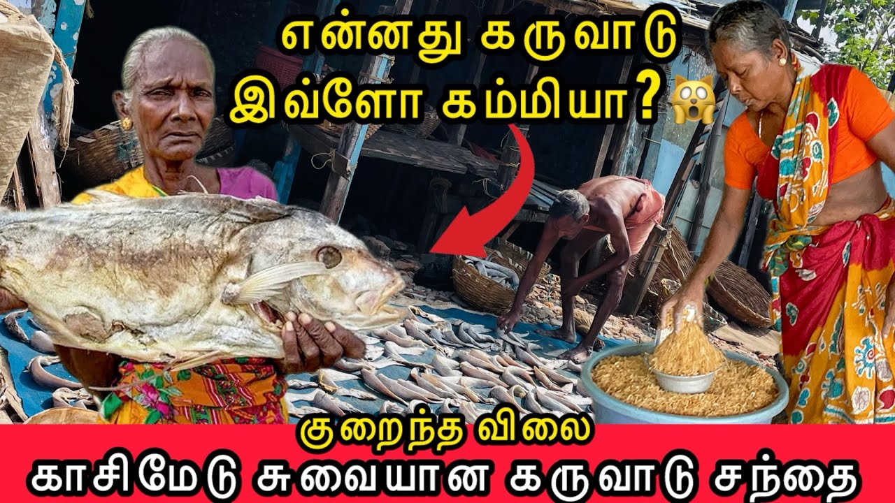 காசிமேடு கருவாடு | Chennai Karuvadu| Kasimedu Dry Fish | Wholesale Karuvadu | Kasimedu Fish Market 