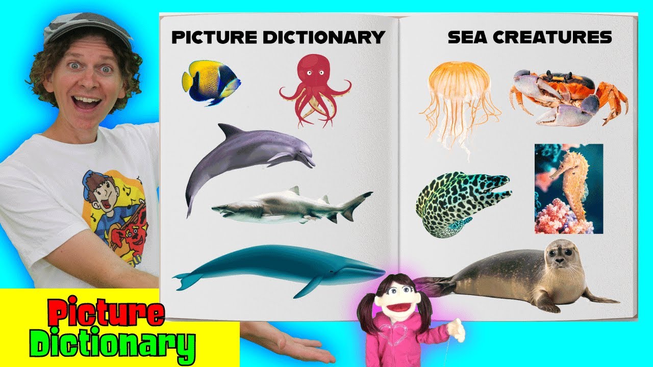 Sea Creatures | Picture Dictionary Song | Dream English Kids