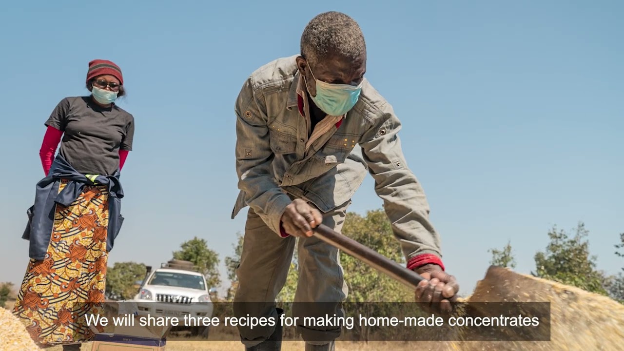 Zambia Dairy - Making Concentrates On Farm