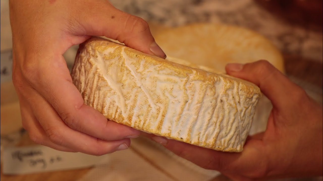 Affinage Cheese Talk with the Cheese Twins: Bleu, Camembert, Gouda, Dry Jack and Munster Cheese