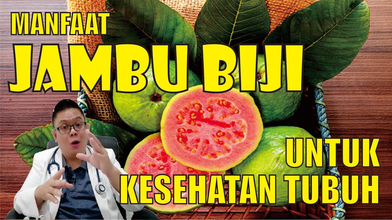 MANFAAT JAMBU BIJI UNTUK KESEHATAN