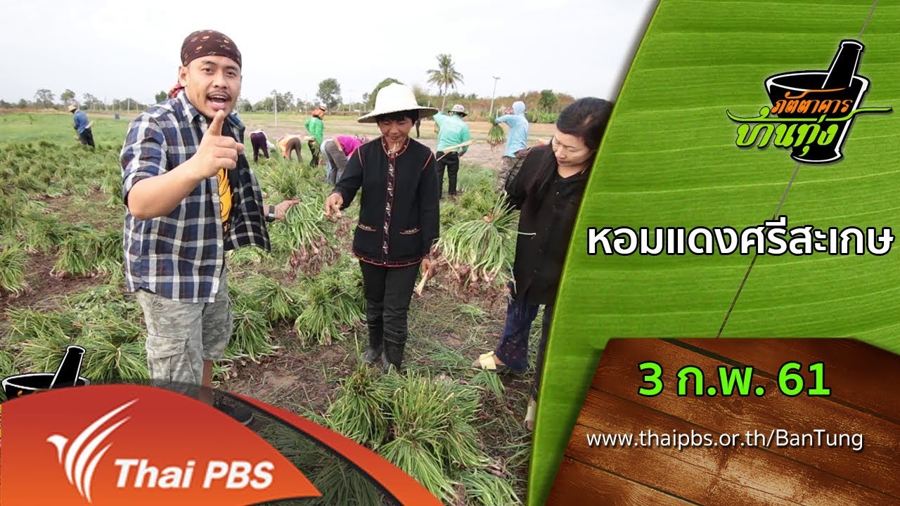 ภัตตาคารบ้านทุ่ง : หอมแดงศรีสะเกษ (3 ก.พ. 61)