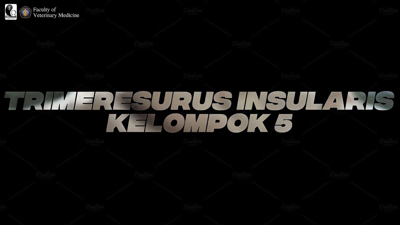 Metode Identifikasi Satwa Liar melalui Indikator Lapangan – Trimeresurus insularis
