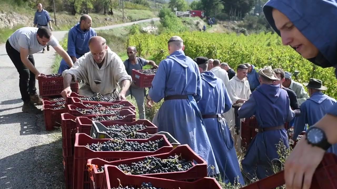 Les Vignerons du Ciel