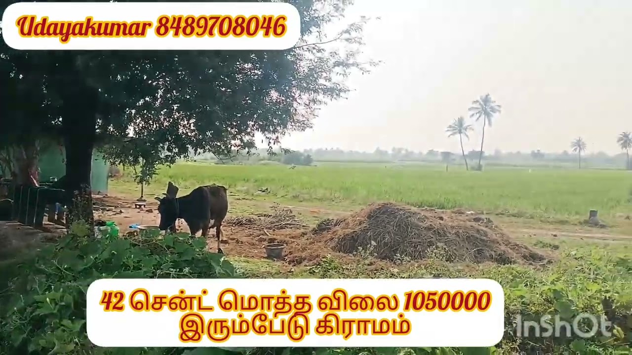 உத்திரமேரூர் டு வந்தவாசி செல்வம் சாலையில் 42சென்டு மொத்த விலை 1050000 இரும்பேடு கிராமம் உத்திரமேரூர்