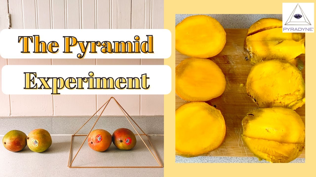 Preserving Mangoes With A Pyramid | 12 Day Pyramid Experiment | PYRADYNE&reg;