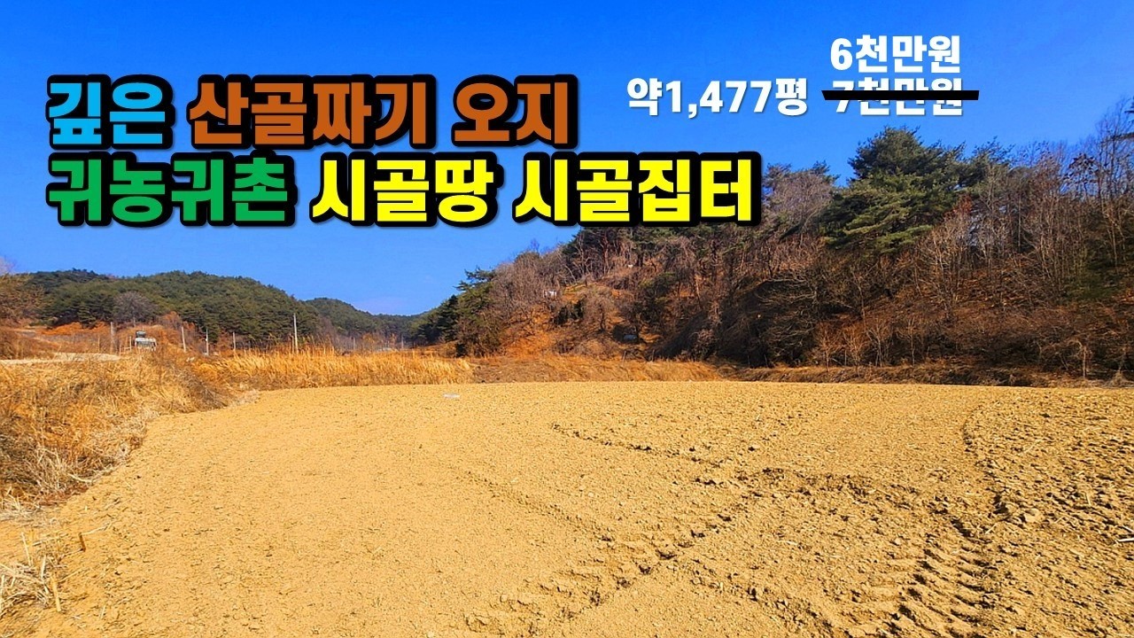 햇볕잘들고 내려다보는 시야가 편안한 산촌전원부지매매 경상북도 봉화군 법전면 두메산골 오지땅 귀농귀촌 전원생활 및 힐링쉼터 싼땅매매 #시골땅 #시골집터 #산골외진땅 (봉화-2618)