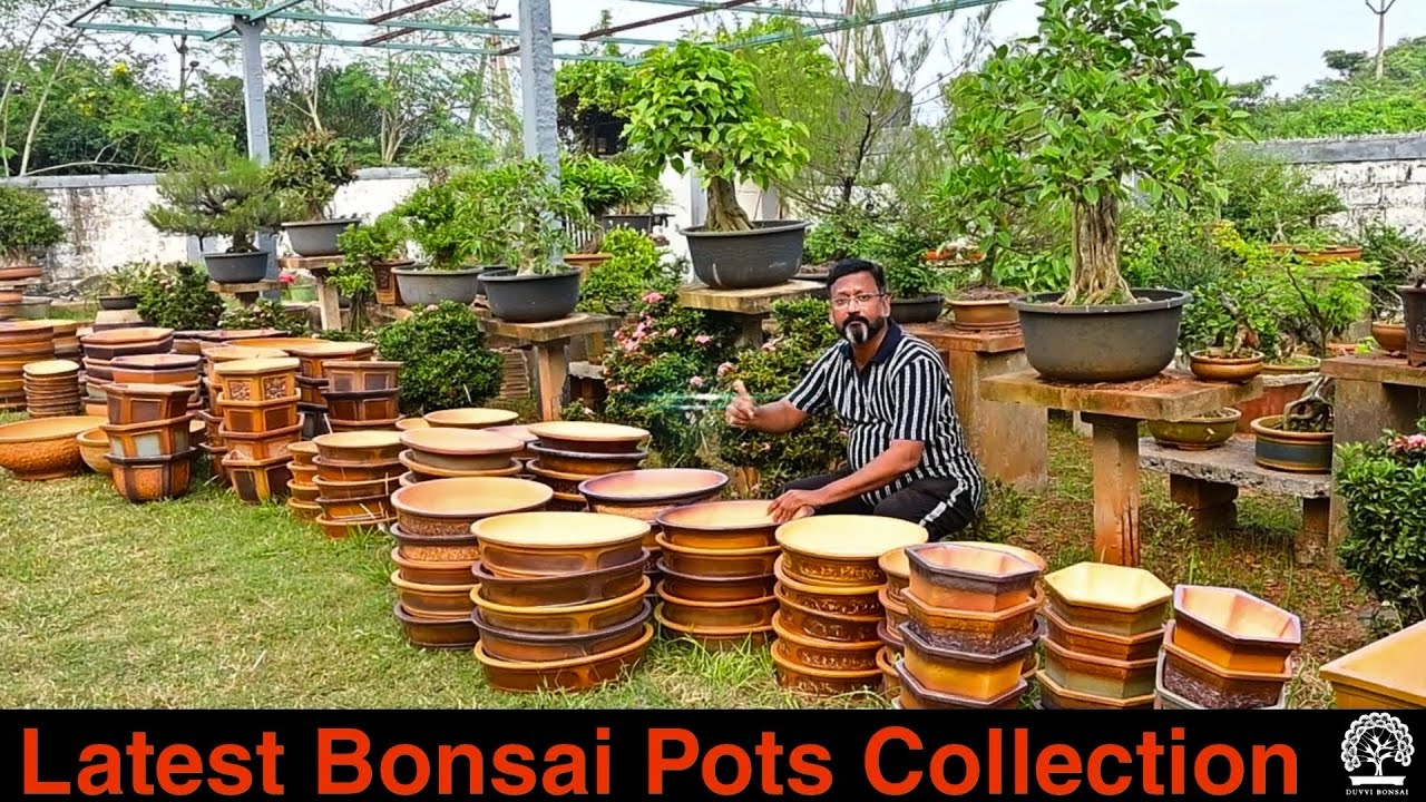 My New Bonsai Pots Batch Arrived! You'll Want to See These || Unpacking My 2026 Bonsai Pots Batch..