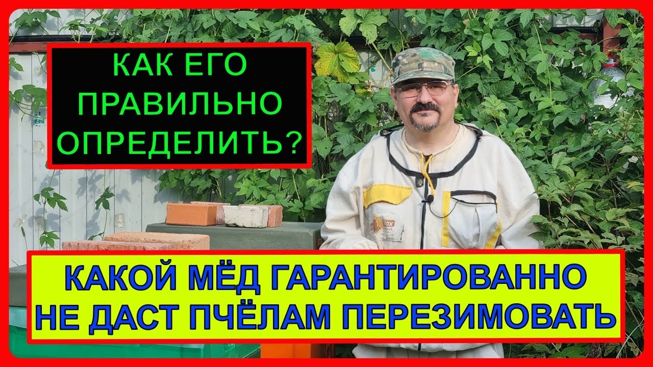 🔴 Какой мёд гарантированно сорвёт зимовку пчёл. И как его обнаружить начинающему пчеловоду 🔴