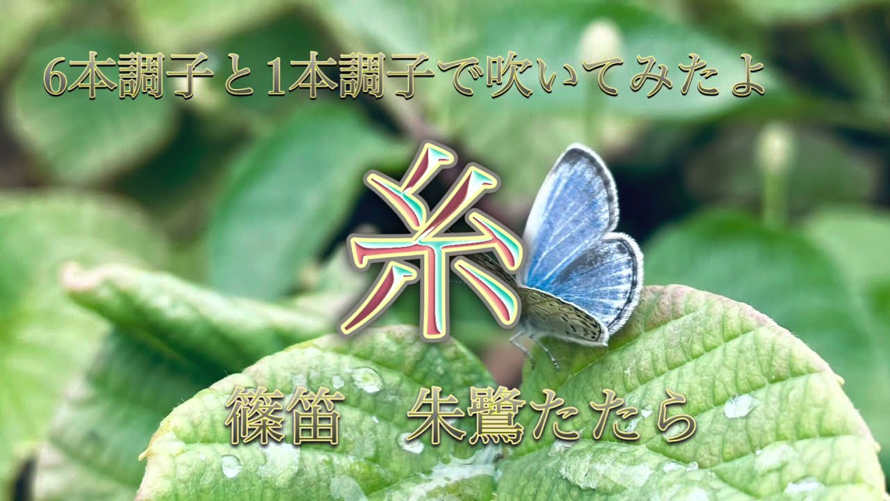 演奏してみた「糸」篠笛６本調子・1本調子 朱鷺（とき）たたら　＃笛＃bamboo flute＃演奏動画2021年10月28日