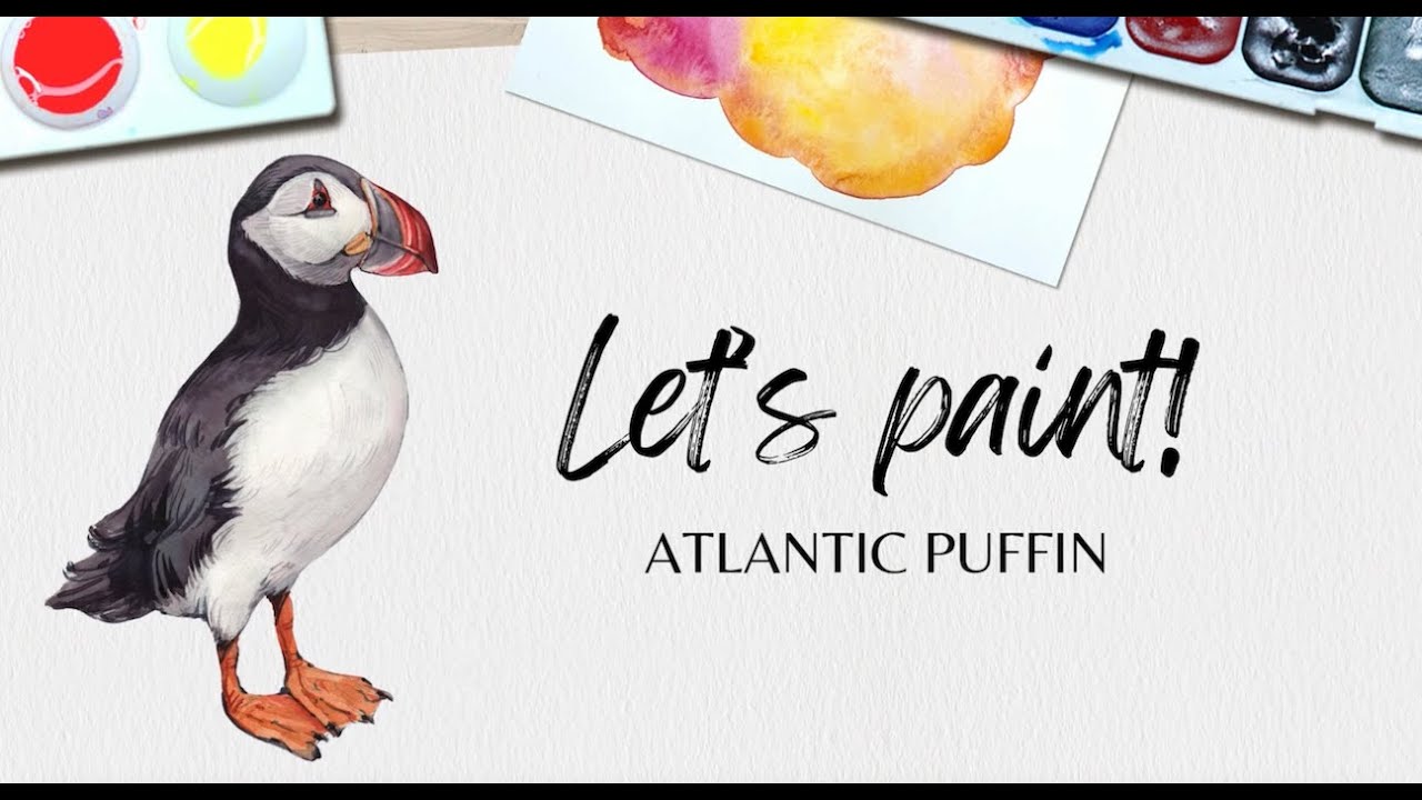 Easy Watercolor Puffin Painting Tutorial &ndash; Step-by-Step for Beginners! 🎨🐧