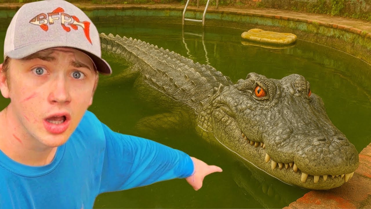 Encontrei um jacaré em um lago abandonado!