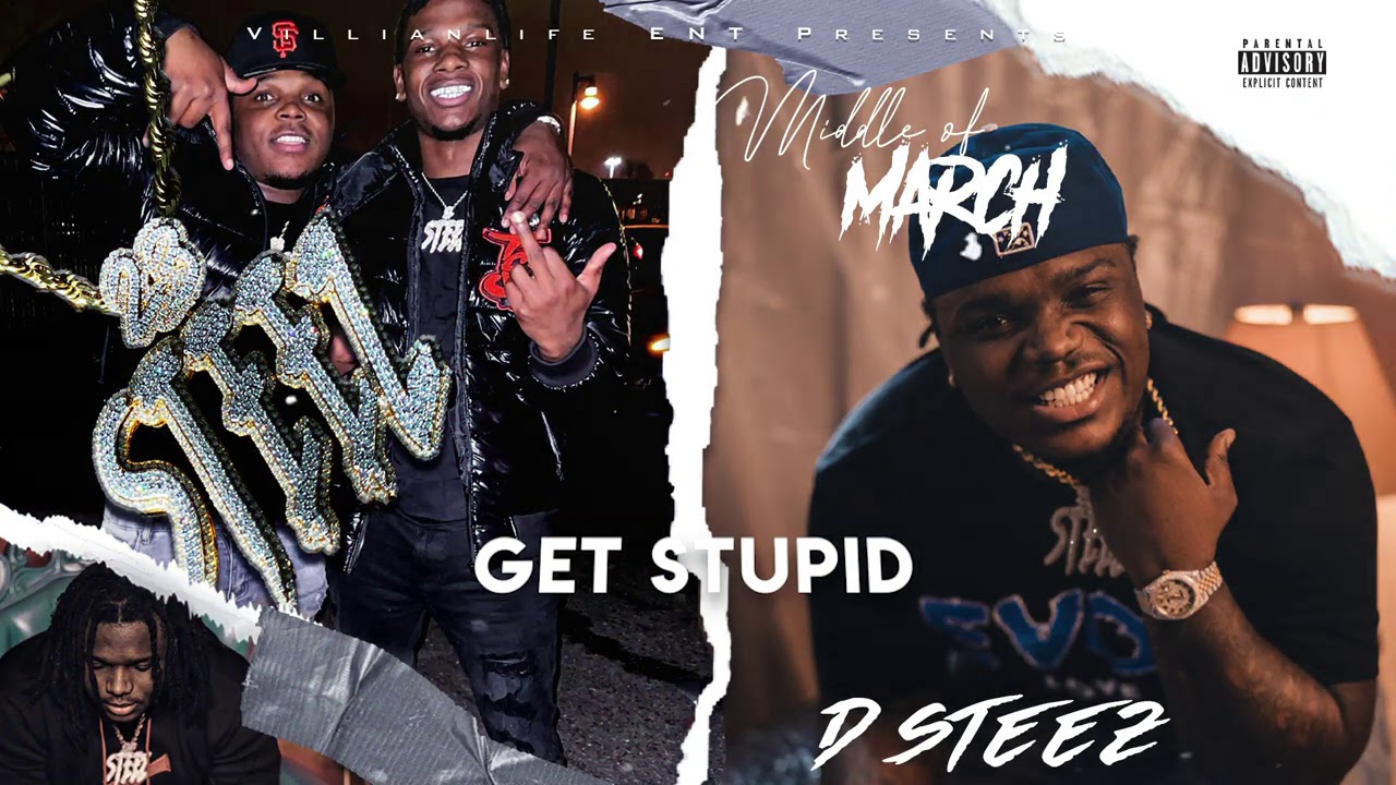 Dsteez-Get Stupid