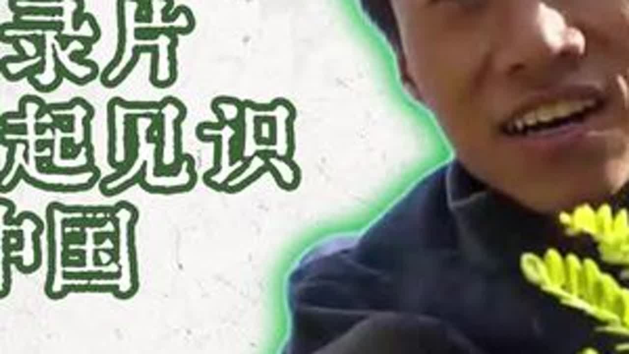 大型纪录片：跟赵朔一起见识《本草中国》 甘肃定西市的岷县以及整个陇南都是我国多种中药材的重要产地，赵朔走进了药材种植基地，蹲在土壤里给我们展示了当归、黄芪、党参在土壤里的模样。我们不妨进一步学习...