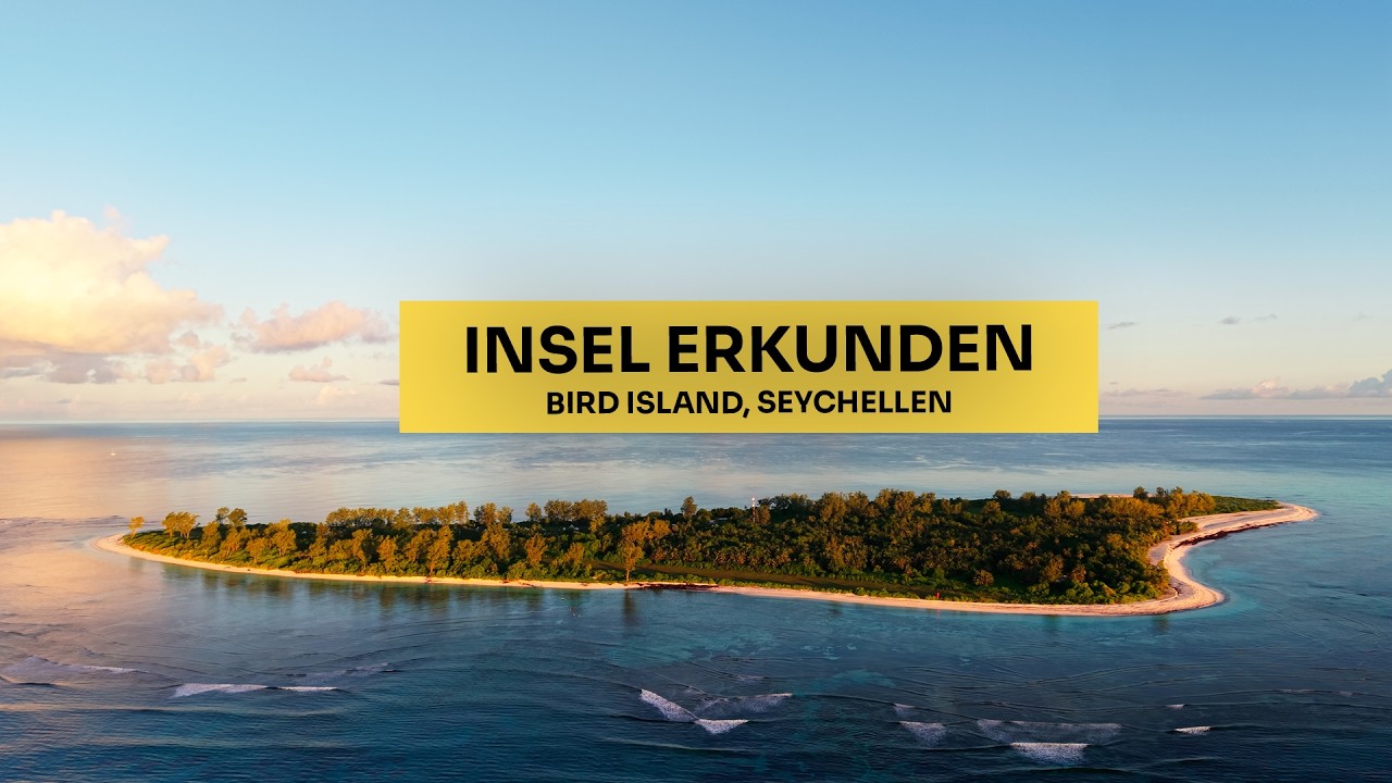 Bird Island Insel erkunden | Einmal rund um die Insel im Indischen Ozean