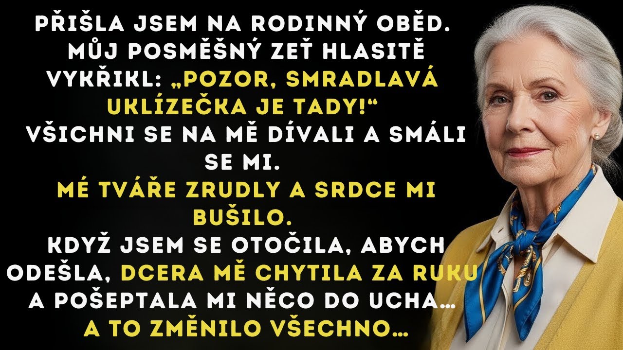 „Smradlavá uklízečka!“ vykřikl můj zeť, když jsem vešla.Moje dcera mě chytila za ruku a něco mi poše