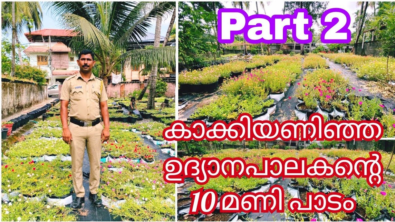 കാക്കിക്കുള്ളിലെ ഉദ്യാനപാലകനോട് ചെടികളുടെ വിശേഷങ്ങൾ പങ്കുവെച്ച് പത്തുമണി പാടത്തിലൂടെ അൽപനേരം.......