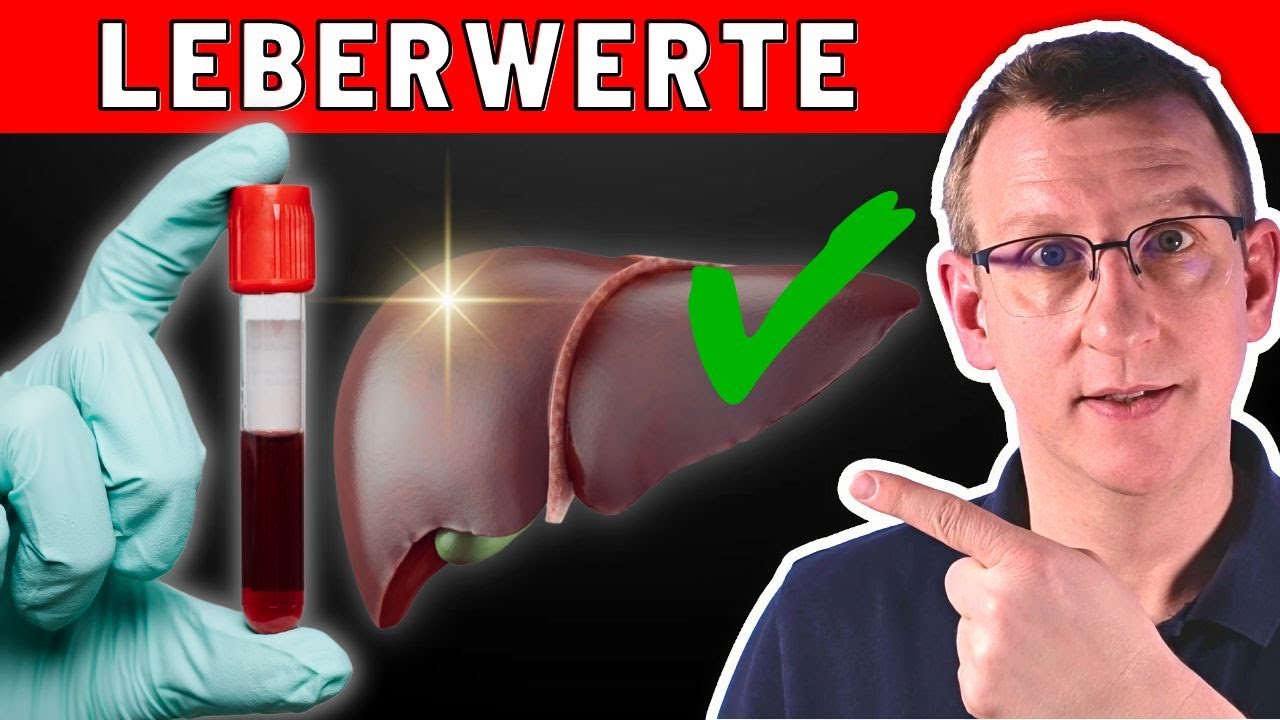 Erhöhte Leberwerte - was kann ich tun?