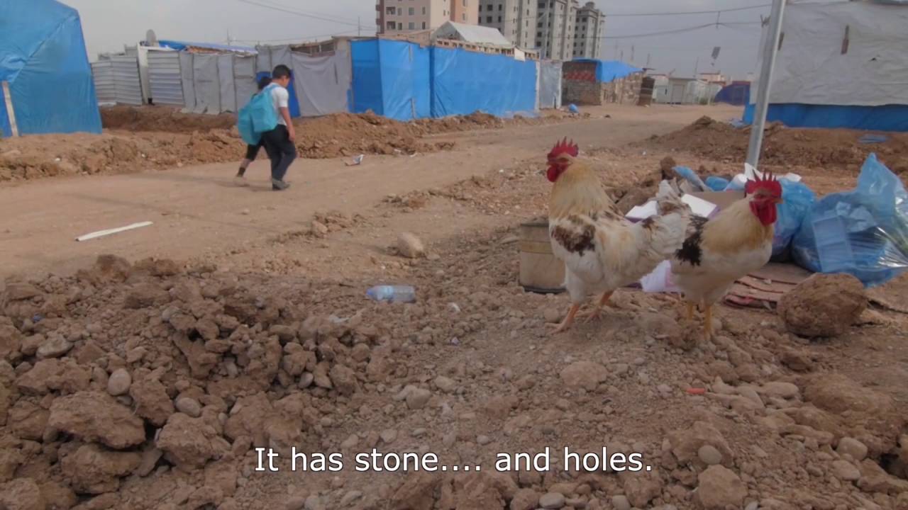 Emergency Lessons: Walking to school | Iraq