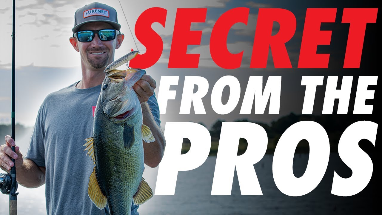 The Super Zara Spook: A  New Silent Topwater Secret!