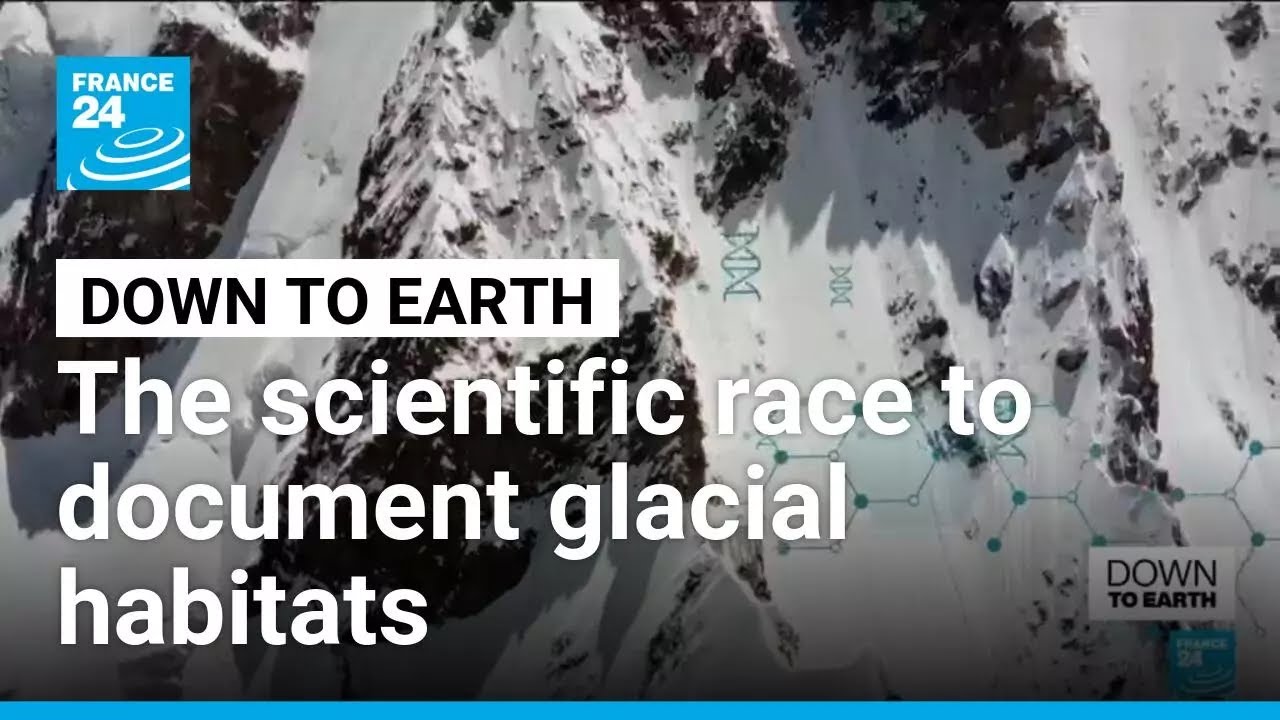 Frozen mysteries: The scientific race to document little-known glacial habitats • FRANCE 24 English