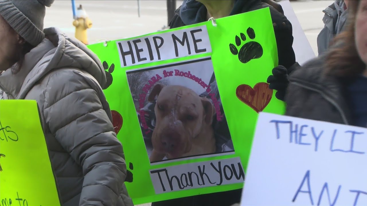 ‘Failing us miserably’: Animal rights advocates rally after case of neglect on Third Street