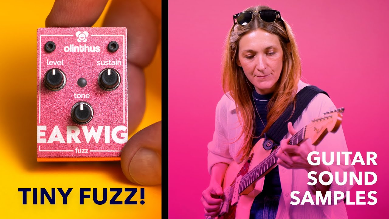 Olinthus Earwig Fuzz - Guitar Sound Samples!