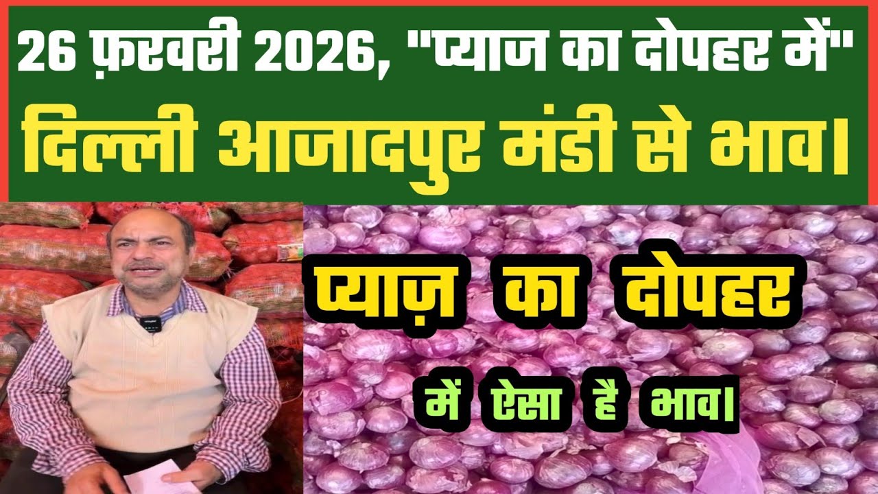 आज दोपहर में प्याज बाजार कैसे Azadpur Delhi Mandi Today में 26-02-2026 के Onion Price DMT TV
