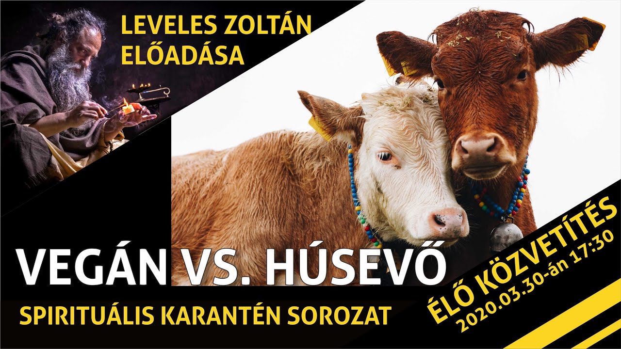 Vegán életmód vs. húsevés [motiváció a változáshoz]