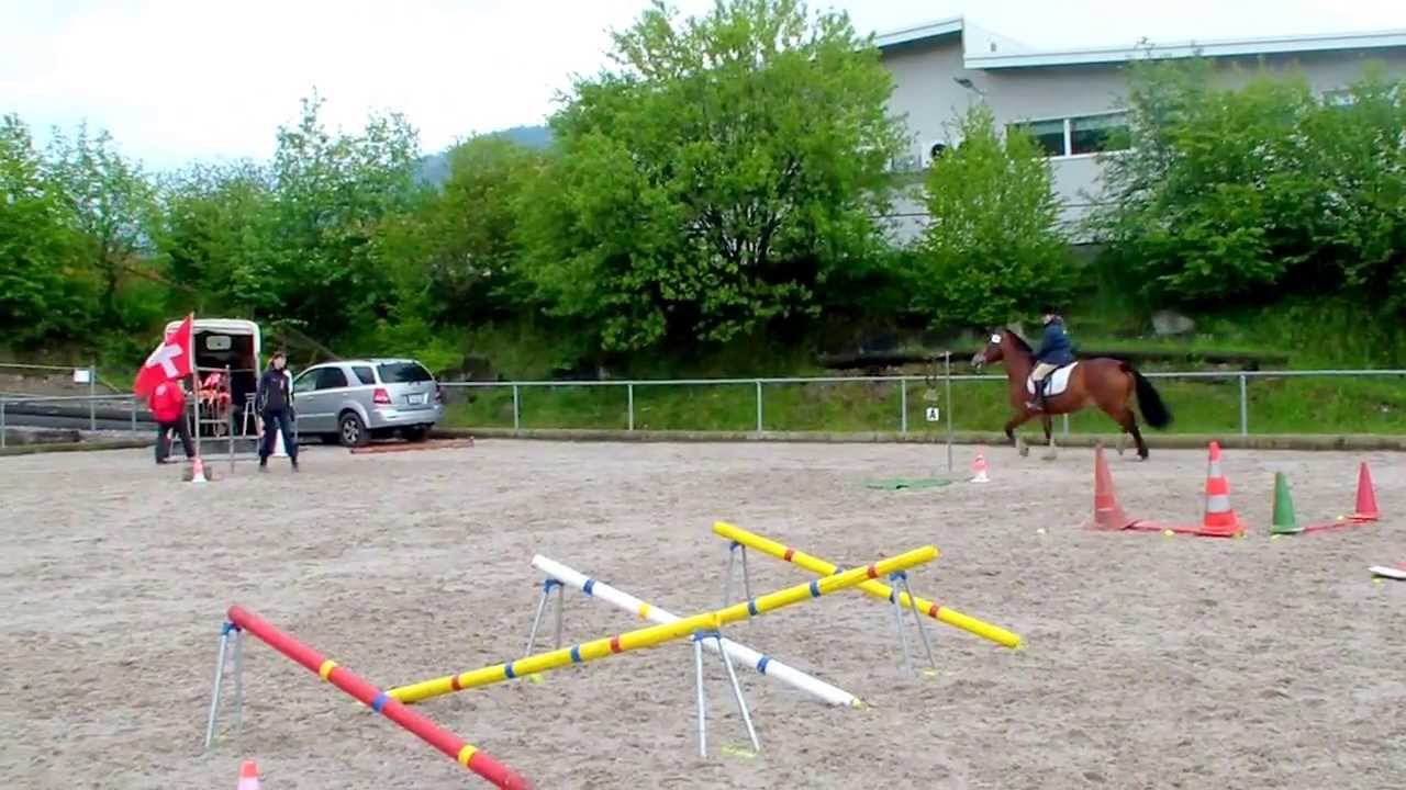 Chevaux - FM  -  Gymkhana Plaffeien 2013