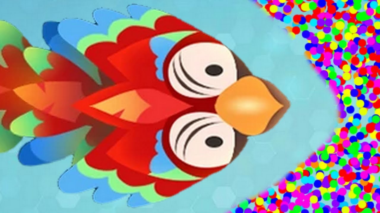 EPIC Parrot snake is INVINCIBLE in Snake.io ! - Dzuup Gameplay #27