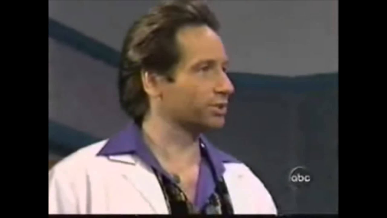 David Duchovny on Life with Bonny partly Sunny