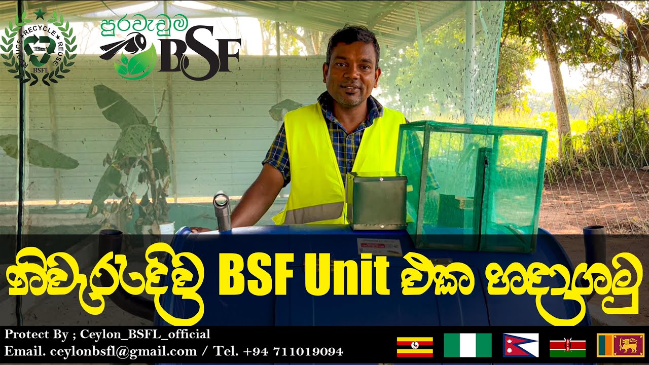 Black soldier fly Home unitකලු සොල්දාදු මැස්සා සත්ව ආහාර ලෙස යොදා ගැනීම