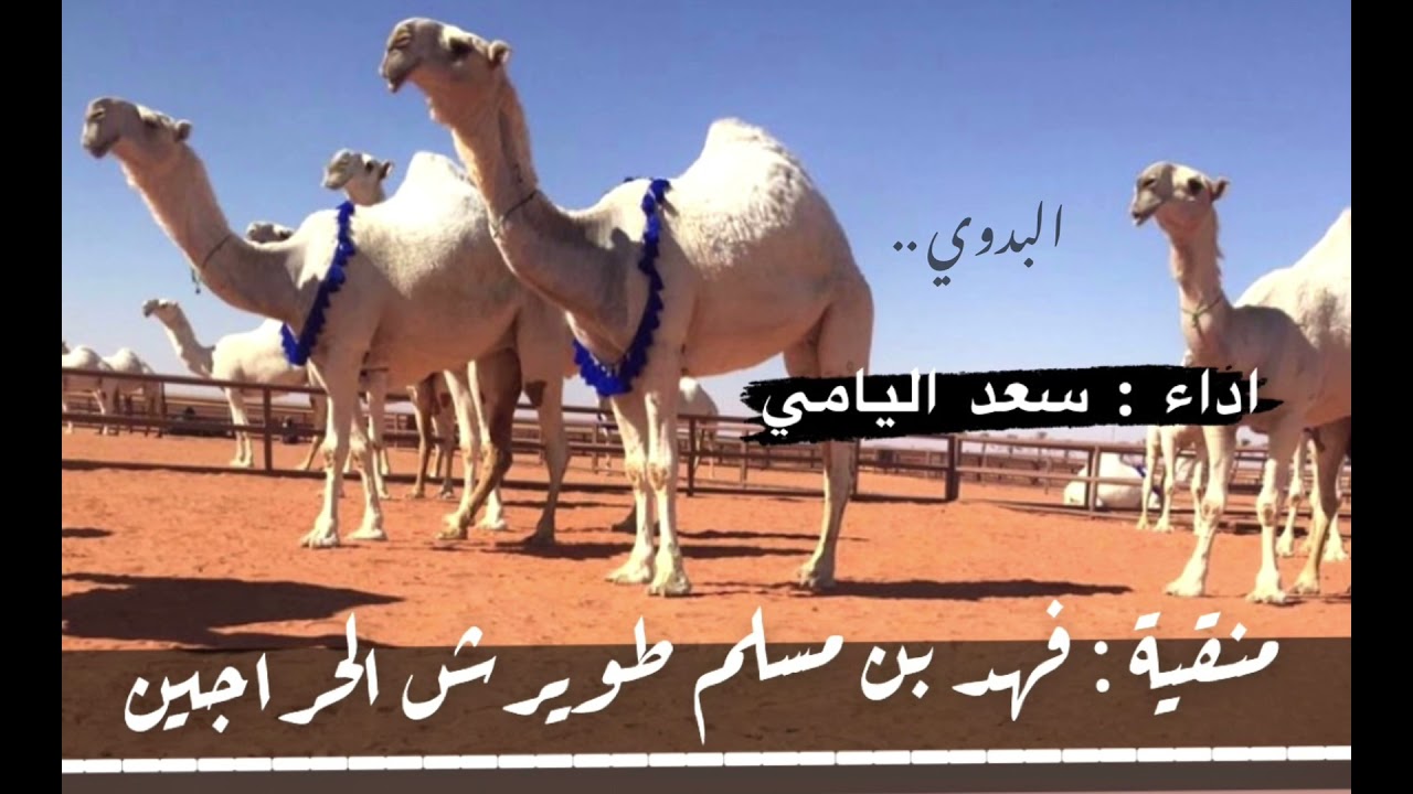 منقية : فهد بن مسلم بن طويرش الحراجين الدوسري  -  اداء : سعد اليامي