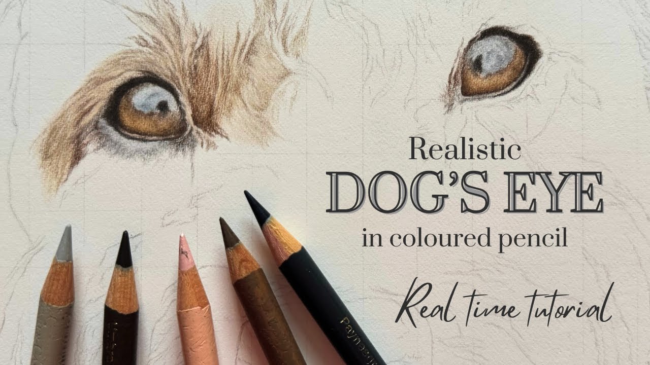 How to Draw a Realistic Dog’s Eye in Coloured Pencil | Real Time Tutorial | Draw With Me