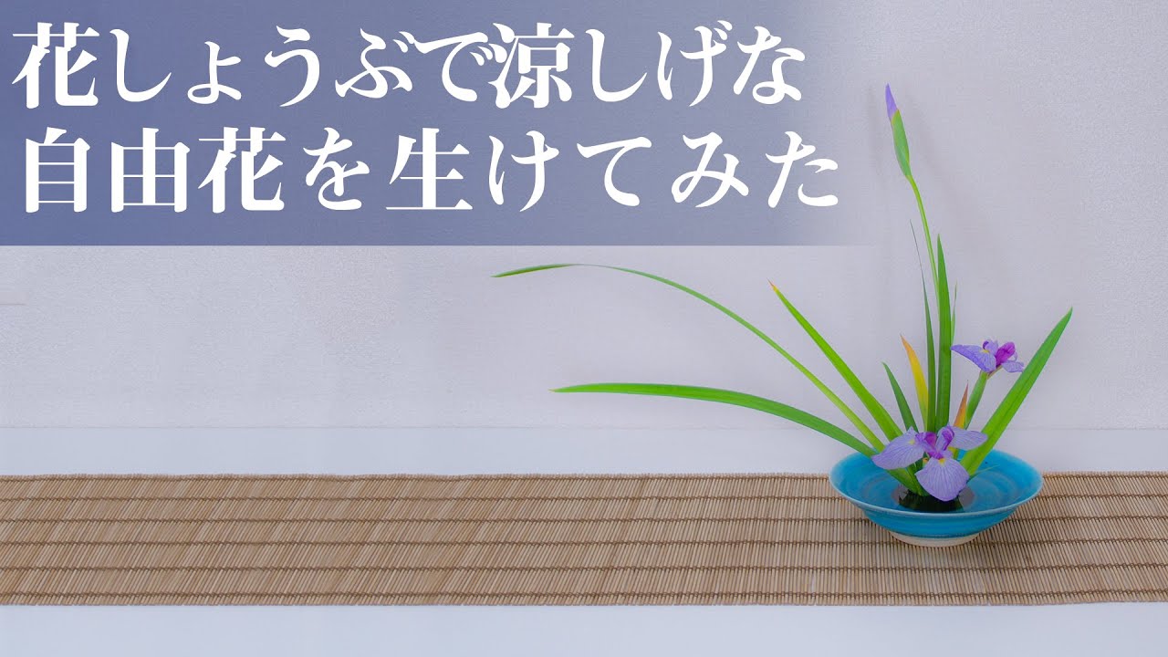 【生け花紹介】池坊華道教授が花しょうぶのいけばな、自由花を生けてみた