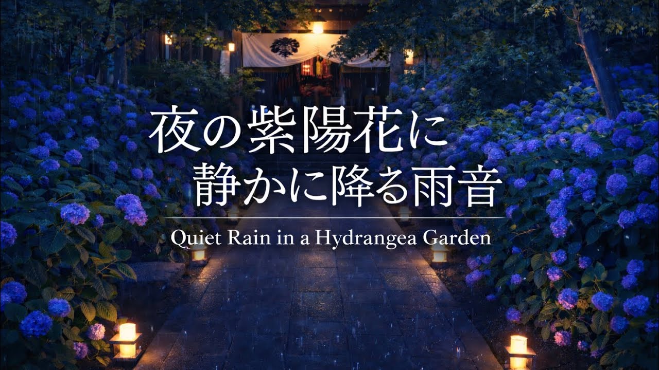 夜の紫陽花に静かに降る雨音｜Quiet Rain in a Hydrangea Garden