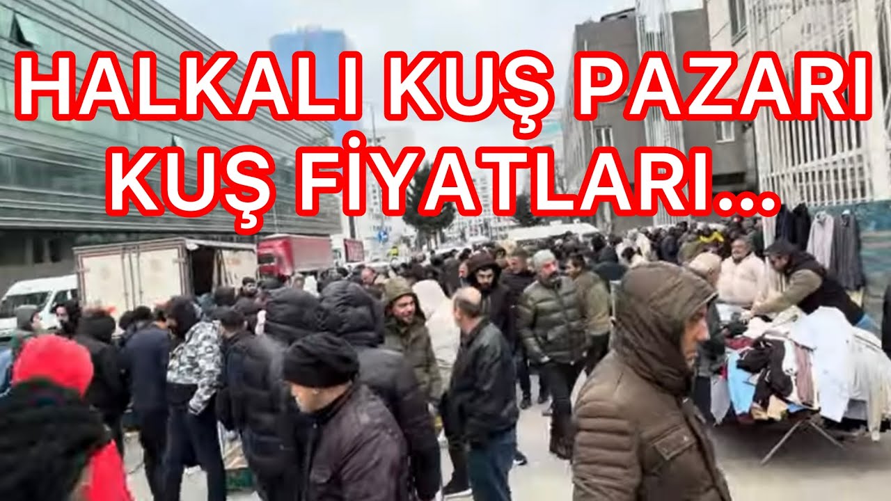 HALKALI İKİTELLİ KUŞ PAZARI KUŞ FİYATLARI🕊️🐓🦜🐣