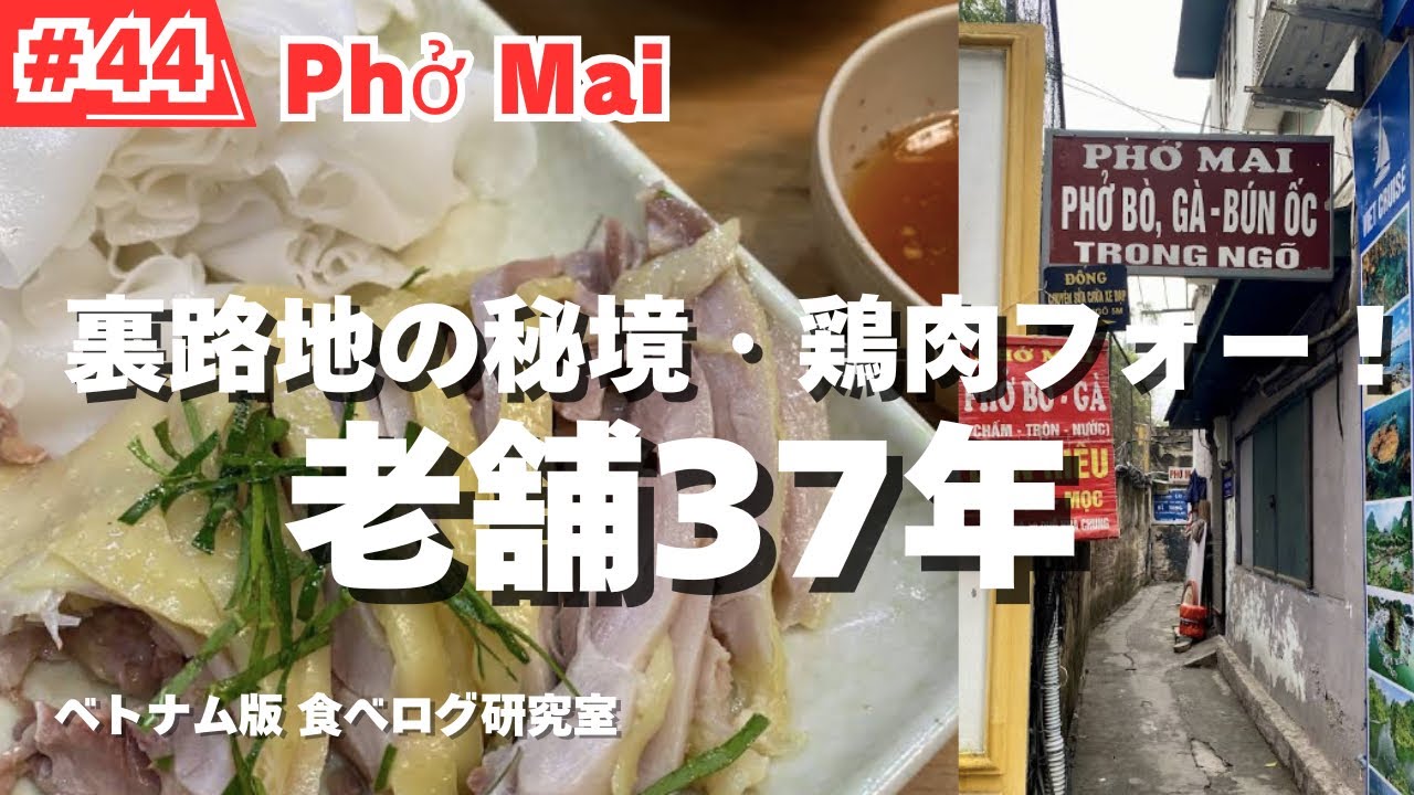 【#44】ハノイ食べ歩き！老舗37年の鶏肉フォー隠れた名店！路地を制する者はハノイを制する！Phở Mai！