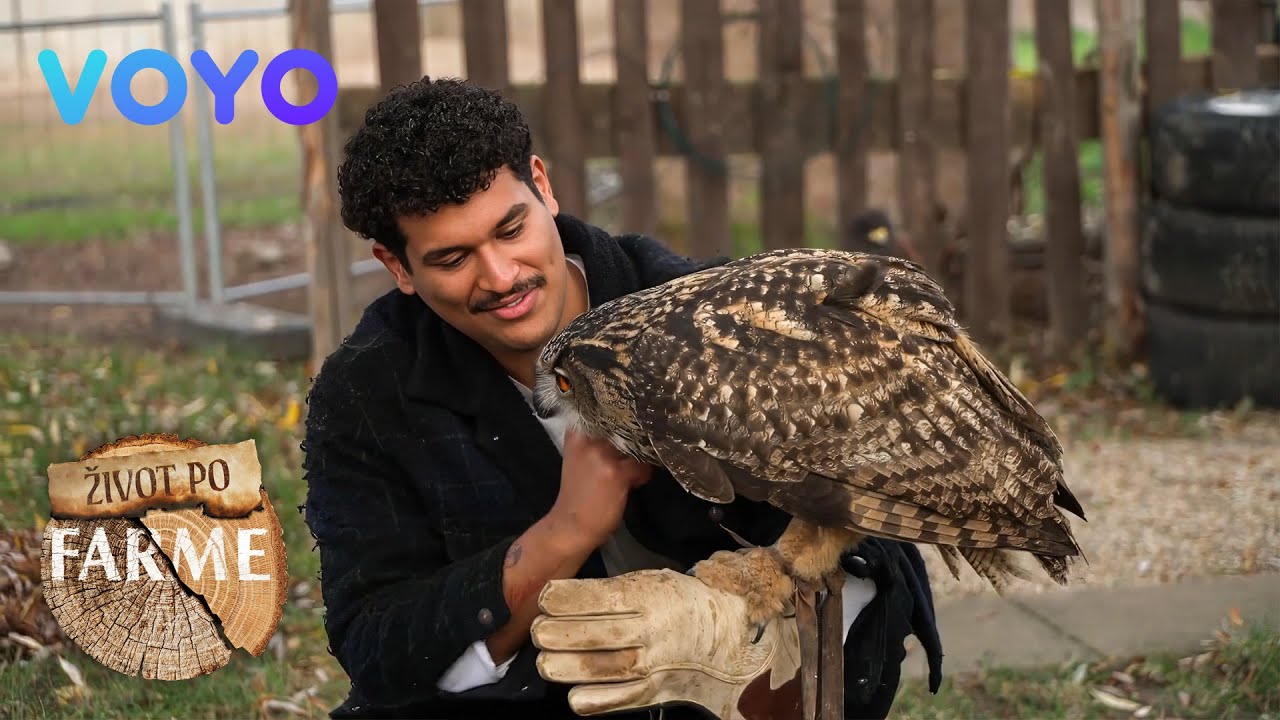 &Aacute;ron a Labubu: znovu spolu | Život po Farme