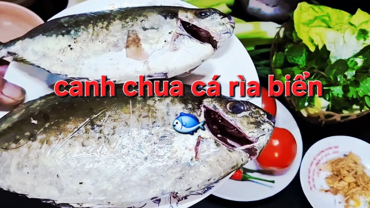 Rất ngon ngọt thơm cá rìa biển tươi nấu canh chua mẻ ăn kèm rau thơm👍🐟
