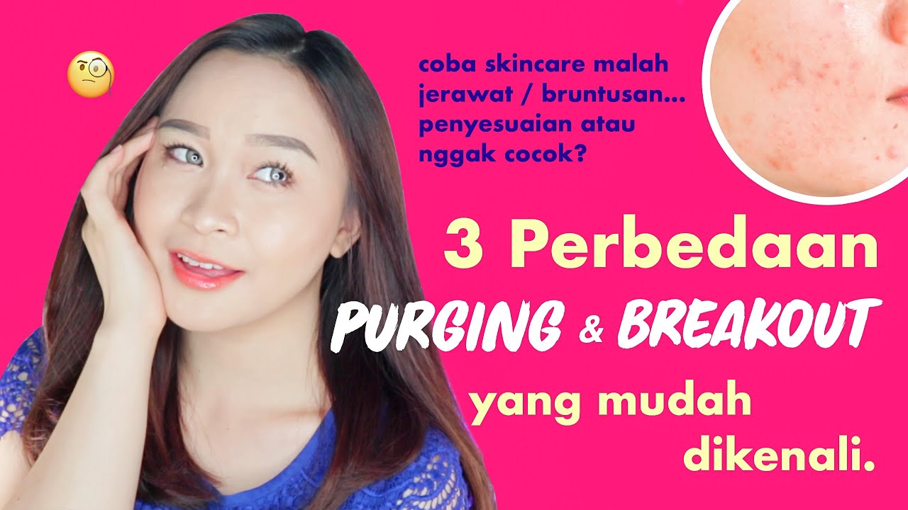3 Perbedaan PURGING & BREAKOUT yang Mudah Dikenali.