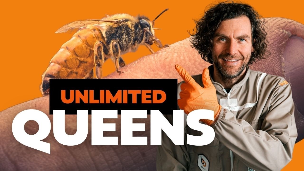 Simple Method To Raise Queen Bees