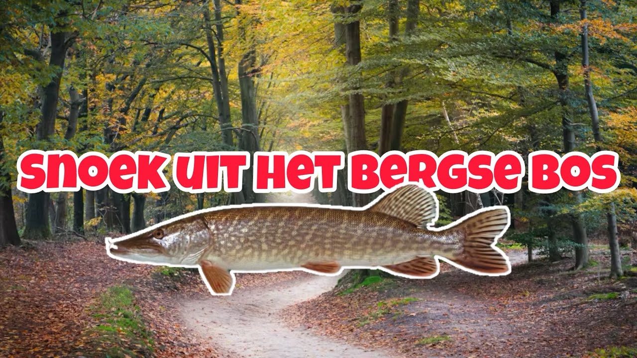 Snoek uit het bergse bos Ep#67