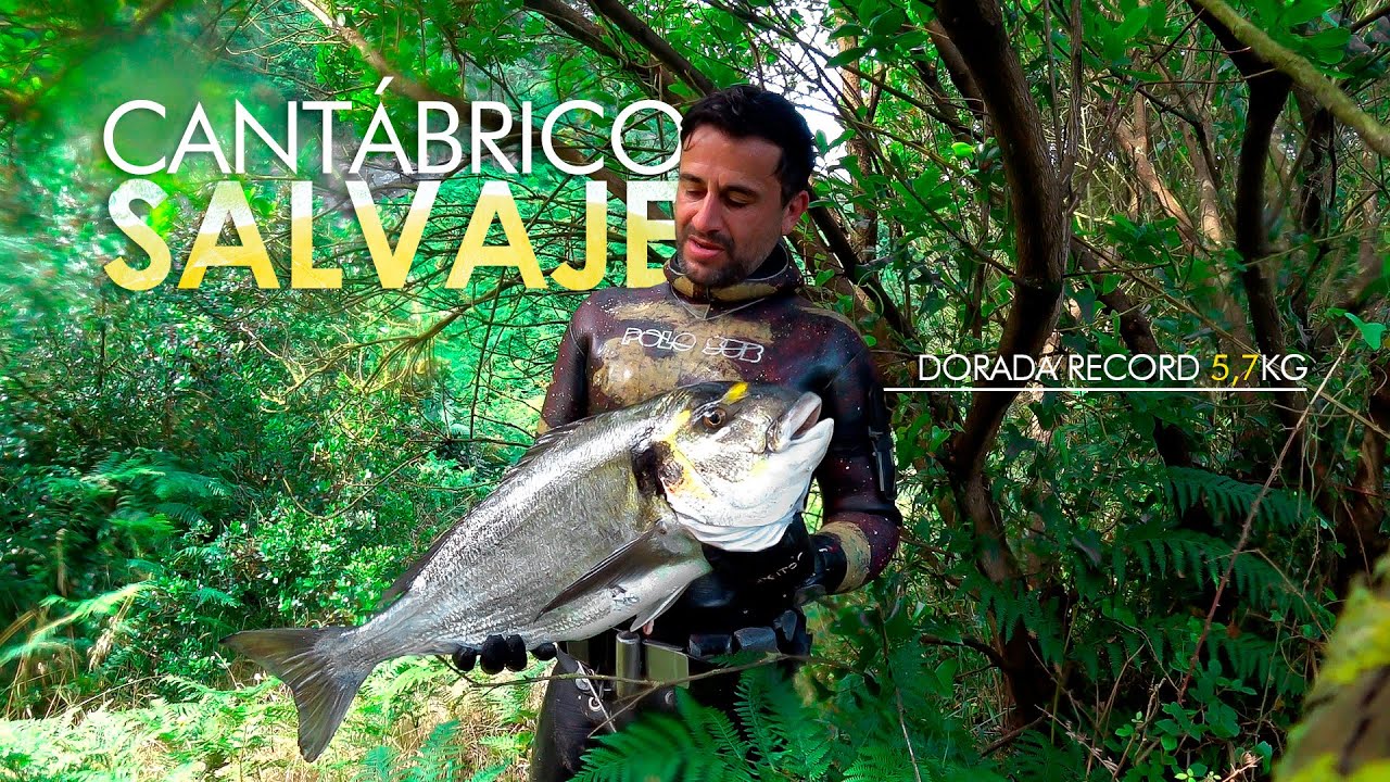 Cantábrico Salvaje (Dorada récord de 5,7kg)