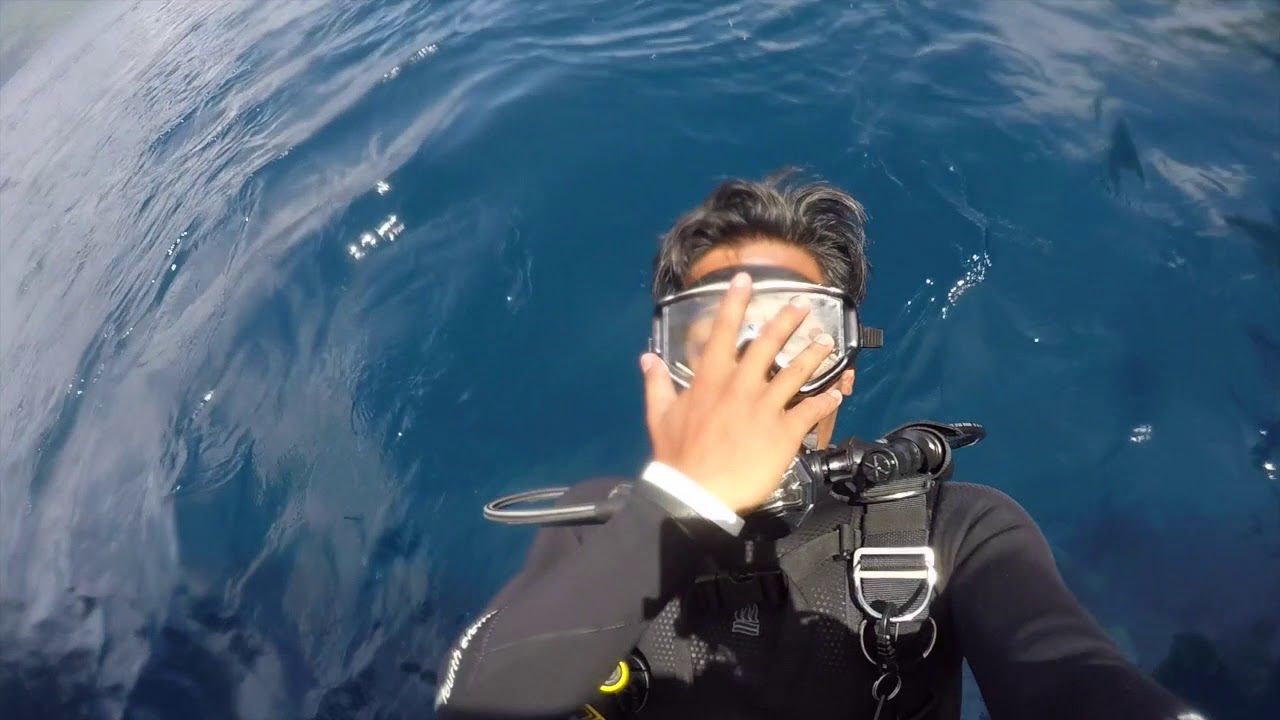 Air Dive Alor | An Introduction