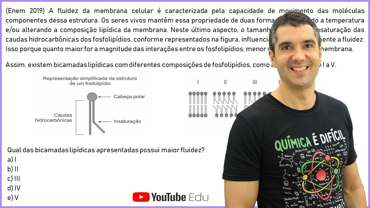 QUÍMICA ENEM 2019! 