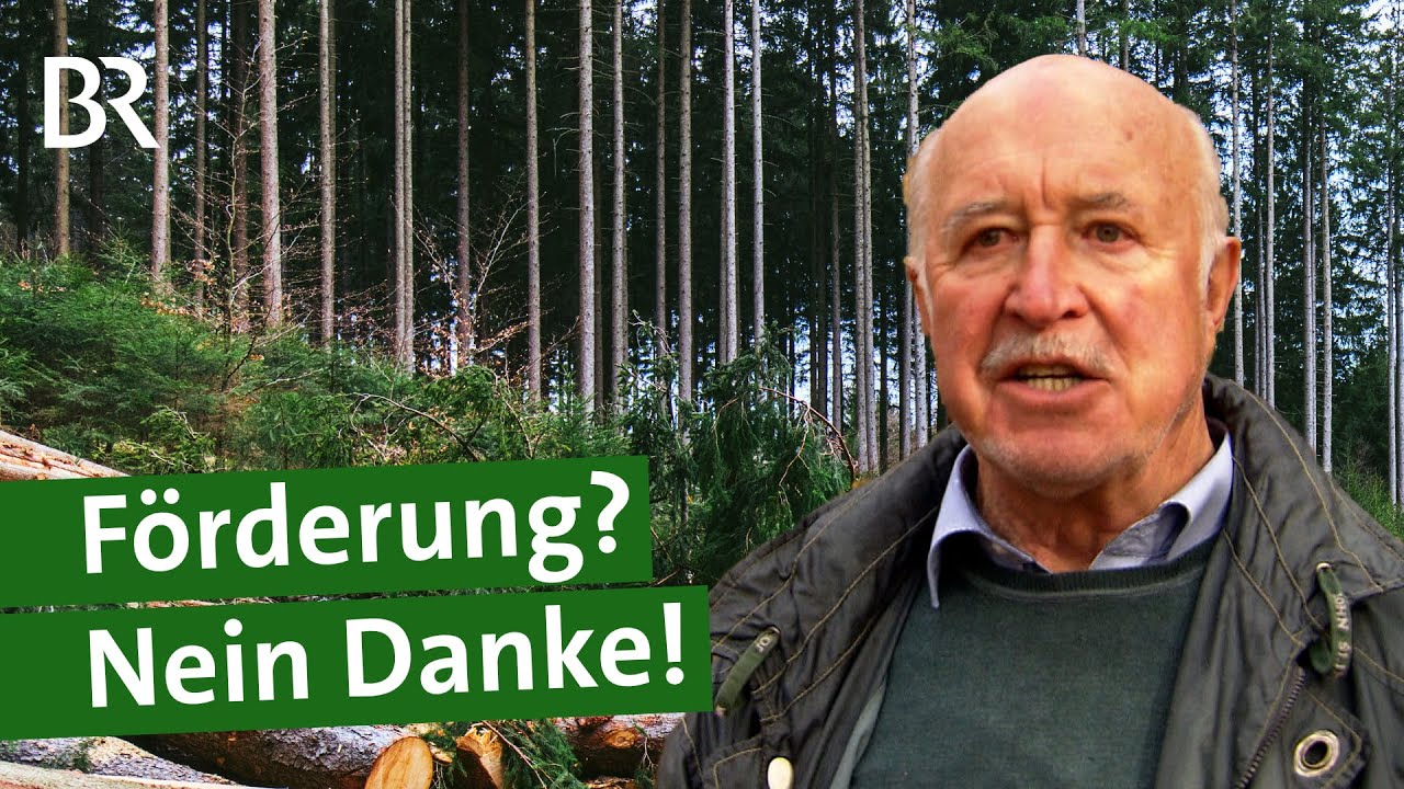 Förderung nicht erwünscht? Warum manche Waldbesitzer auf bares Geld verzichten | Unser Land | BR