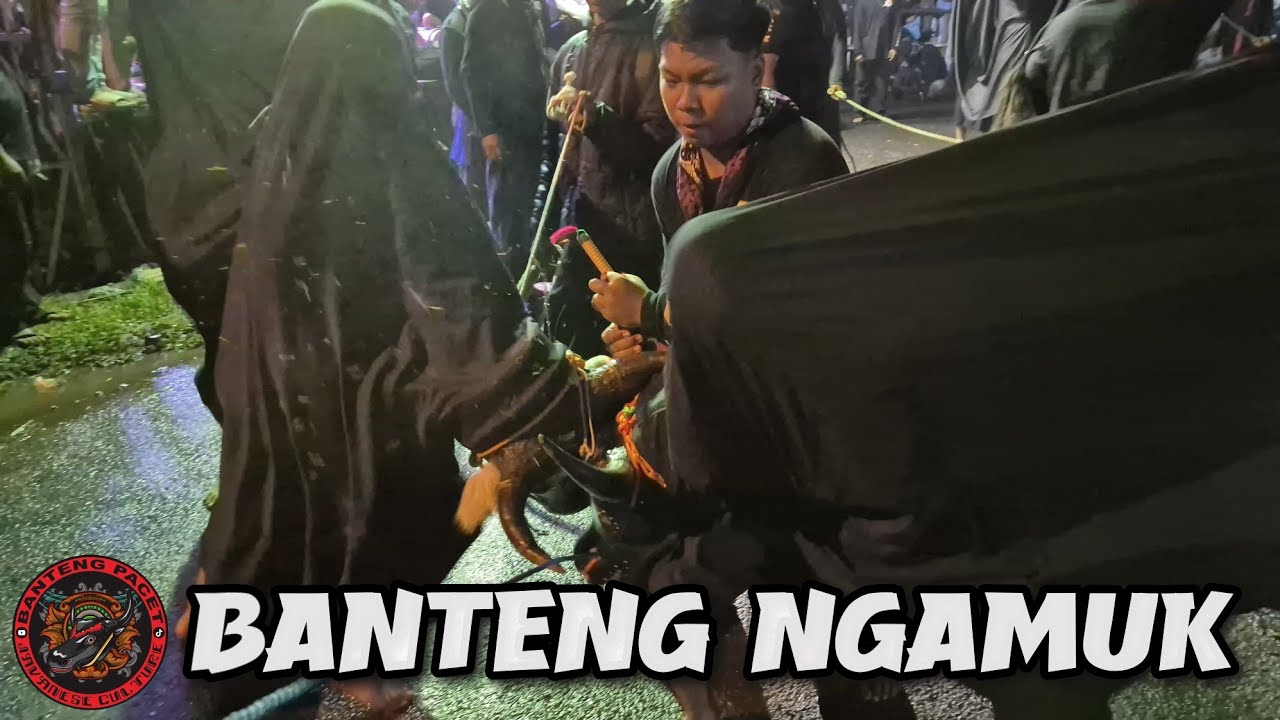 Garuda Sakti ft Putra Rimba Budaya & Putra Mbah Suro Hadilogo Live Pacet Ledok ||Macanan & Bantengan