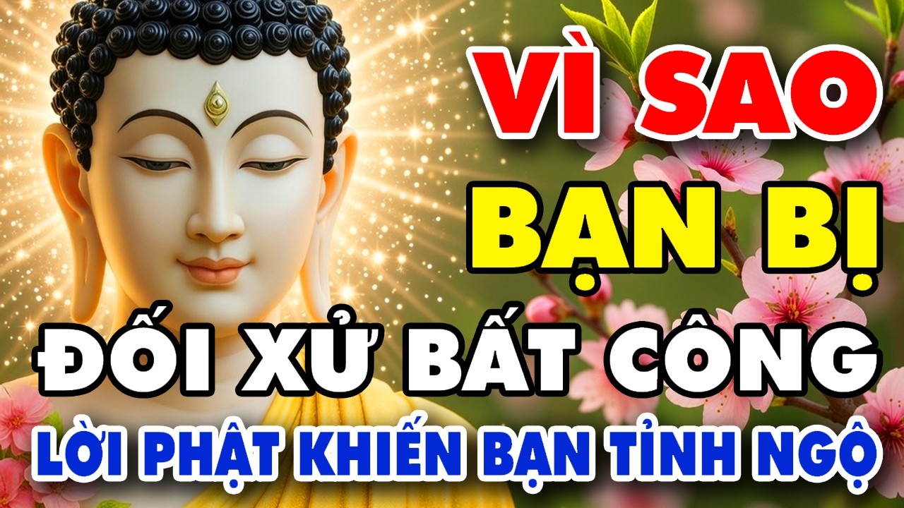 Vì Sao Bạn Luôn Bị Đối Xử Bất Công? Lời Phật Dạy Khiến Nhiều Người Tỉnh Ngộ